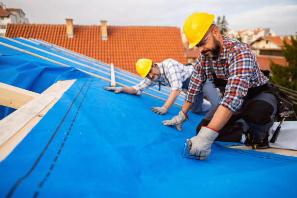 Best Metal Roofing Contractor  in Erie, PA