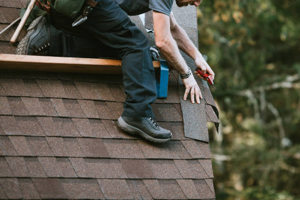 Best Storm Damage Roof Repair  in Erie, PA